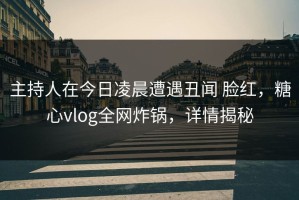 主持人在今日凌晨遭遇丑闻 脸红，糖心vlog全网炸锅，详情揭秘