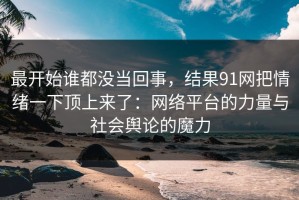 最开始谁都没当回事，结果91网把情绪一下顶上来了：网络平台的力量与社会舆论的魔力