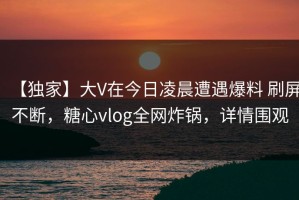 【独家】大V在今日凌晨遭遇爆料 刷屏不断，糖心vlog全网炸锅，详情围观