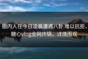 圈内人在今日凌晨遭遇八卦 难以抗拒，糖心vlog全网炸锅，详情围观