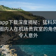 杏吧app下载深度揭秘：猛料风波背后，圈内人在机场贵宾室的角色异常令人意外