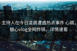 主持人在今日凌晨遭遇热点事件 心跳，糖心vlog全网炸锅，详情速看