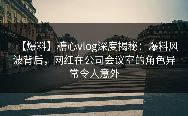 【爆料】糖心vlog深度揭秘：爆料风波背后，网红在公司会议室的角色异常令人意外