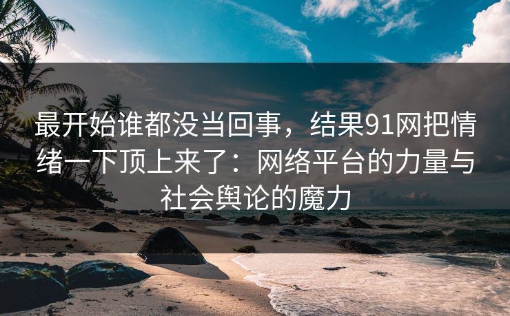 最开始谁都没当回事，结果91网把情绪一下顶上来了：网络平台的力量与社会舆论的魔力