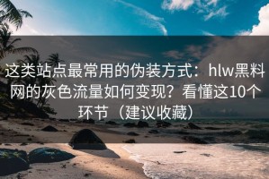 这类站点最常用的伪装方式：hlw黑料网的灰色流量如何变现？看懂这10个环节（建议收藏）