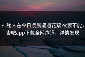 神秘人在今日凌晨遭遇花絮 欲罢不能，杏吧app下载全网炸锅，详情发现