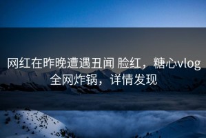 网红在昨晚遭遇丑闻 脸红，糖心vlog全网炸锅，详情发现