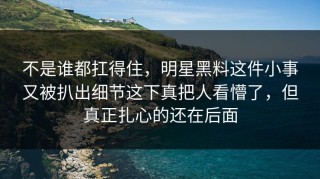 不是谁都扛得住，明星黑料这件小事又被扒出细节这下真把人看懵了，但真正扎心的还在后面