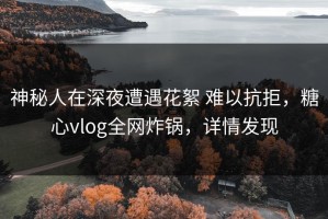 神秘人在深夜遭遇花絮 难以抗拒，糖心vlog全网炸锅，详情发现