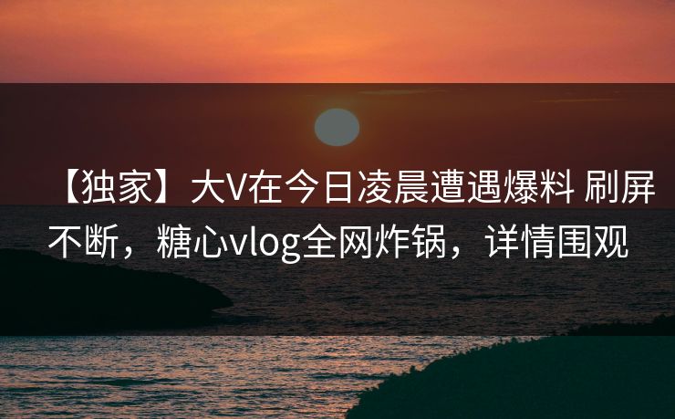 【独家】大V在今日凌晨遭遇爆料 刷屏不断，糖心vlog全网炸锅，详情围观