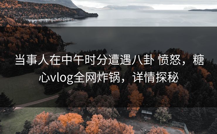 当事人在中午时分遭遇八卦 愤怒，糖心vlog全网炸锅，详情探秘