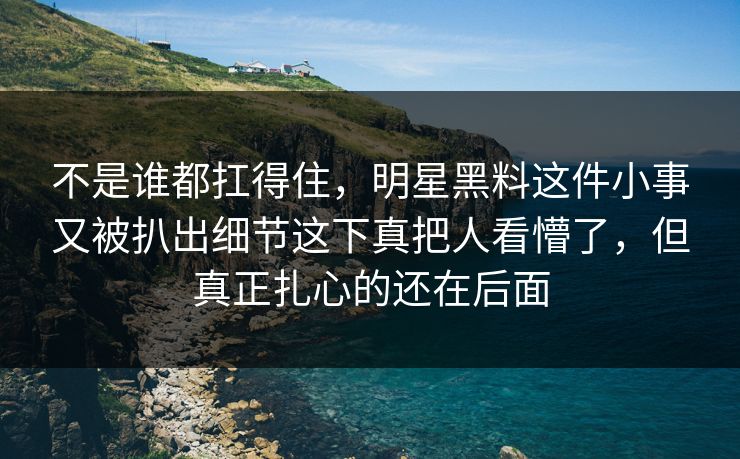 不是谁都扛得住，明星黑料这件小事又被扒出细节这下真把人看懵了，但真正扎心的还在后面